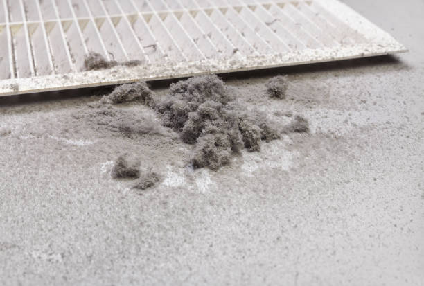 Best Affordable Air Duct Cleaning  in Atlanta, IL