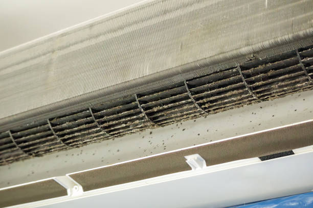 Best Air Duct Cleaning Near Me in Atlanta, IL